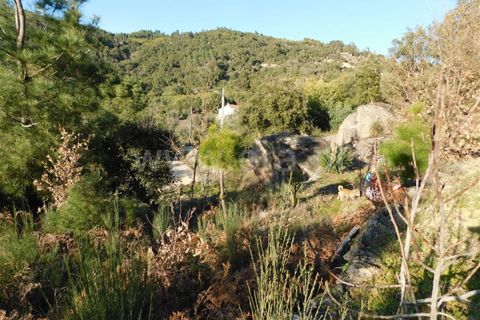 Tomt i Fundao, Castelo Branco, Fundao - € 50 000 | Ref: 255220013 - foto 7