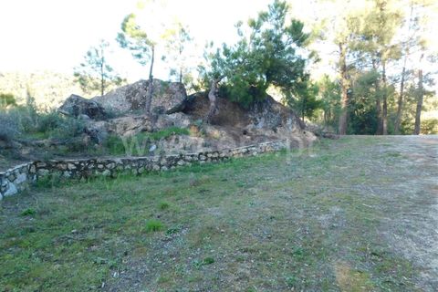 Tomt i Fundao, Castelo Branco, Fundao - € 50 000 | Ref: 255220013 - foto 10