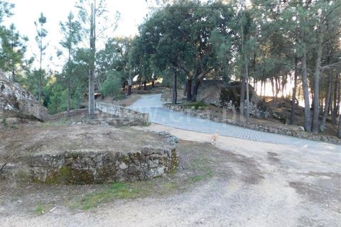 Tomt i Fundao, Castelo Branco, Fundao - € 50 000 | Ref: 255220013 - foto 11