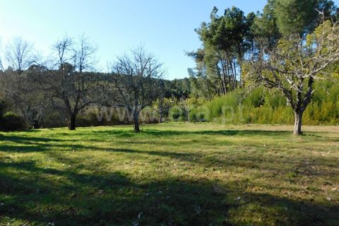 Helårsgrund i Fundao, Castelo Branco, Fundao - € 16.500 | Ref: 255220014 - foto 2