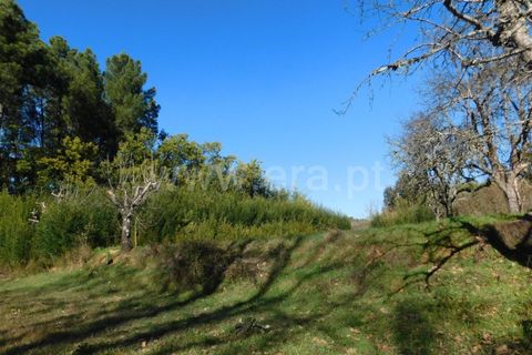 Helårsgrund i Fundao, Castelo Branco, Fundao - € 16.500 | Ref: 255220014 - foto 3