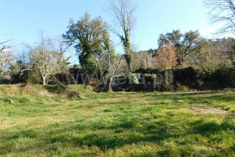 Helårsgrund i Fundao, Castelo Branco, Fundao - € 16.500 | Ref: 255220014 - foto 4
