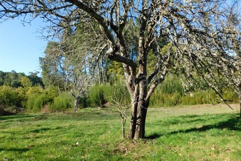 Helårsgrund i Fundao, Castelo Branco, Fundao - € 16.500 | Ref: 255220014 - foto 5