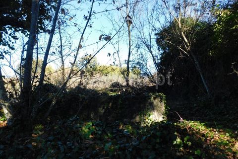 Helårsgrund i Fundao, Castelo Branco, Fundao - € 16.500 | Ref: 255220014 - foto 6