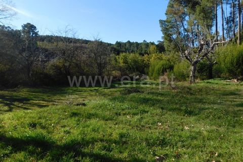 Helårsgrund i Fundao, Castelo Branco, Fundao - € 16.500 | Ref: 255220014 - foto 7
