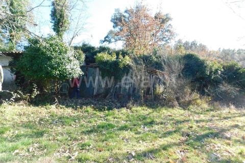 Helårsgrund i Fundao, Castelo Branco, Fundao - € 16.500 | Ref: 255220014 - foto 9