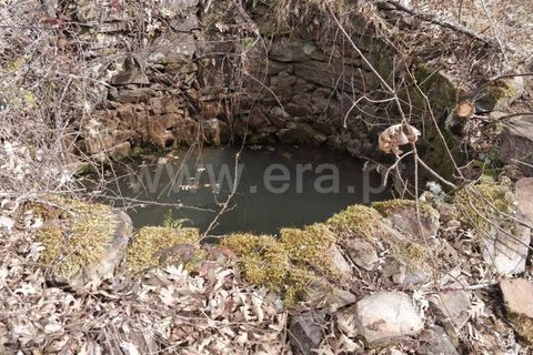 Tomt i Fundao, Castelo Branco, Fundao - € 7 000 | Ref: 255220043 - foto 3