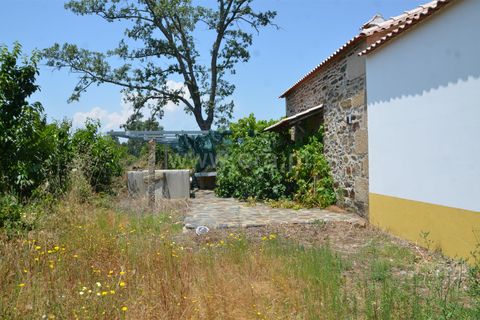 Tomt i Fundao, Castelo Branco, Fundao - € 250 000 | Ref: 255200141 - foto 3