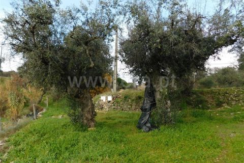 Gård i Fundao, Castelo Branco, Fundao - € 89 000 | Ref: 255240013 - foto 3