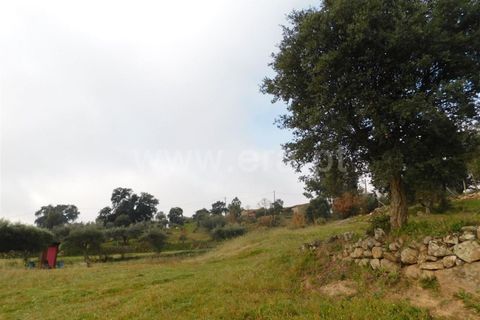 Gård i Fundao, Castelo Branco, Fundao - € 89 000 | Ref: 255240013 - foto 5
