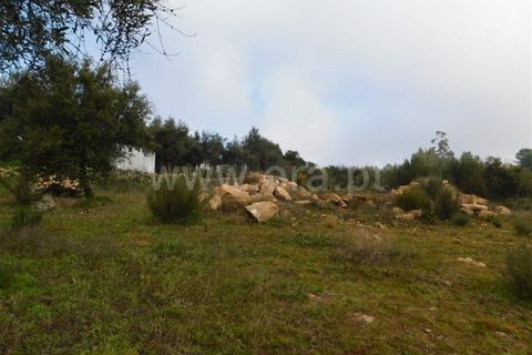 Gård i Fundao, Castelo Branco, Fundao - € 89 000 | Ref: 255240013 - foto 6