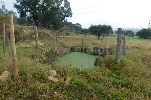 Gård i Fundao, Castelo Branco, Fundao - € 89 000 | Ref: 255240013 - foto 7