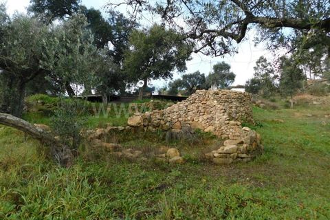 Gård i Fundao, Castelo Branco, Fundao - € 89 000 | Ref: 255240013 - foto 8