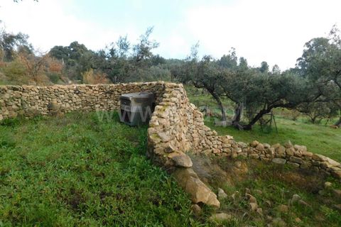 Gård i Fundao, Castelo Branco, Fundao - € 89 000 | Ref: 255240013 - foto 9