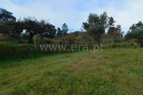 Gård i Fundao, Castelo Branco, Fundao - € 89 000 | Ref: 255240013 - foto 10