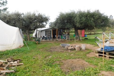 Gård i Fundao, Castelo Branco, Fundao - € 89 000 | Ref: 255240013 - foto 11