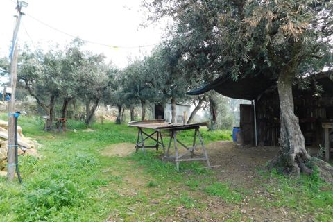 Gård i Fundao, Castelo Branco, Fundao - € 89 000 | Ref: 255240013 - foto 12
