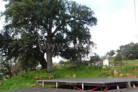 Gård i Fundao, Castelo Branco, Fundao - € 89 000 | Ref: 255240013 - foto 13