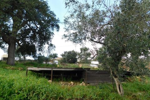 Gård i Fundao, Castelo Branco, Fundao - € 89 000 | Ref: 255240013 - foto 14