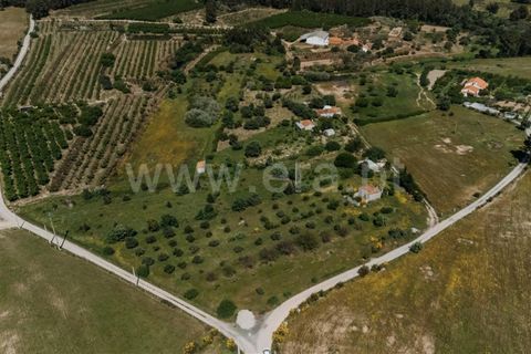 Helårsgrund i Fundao, Castelo Branco, Fundao - € 42.500 | Ref: 255240012 - foto 1