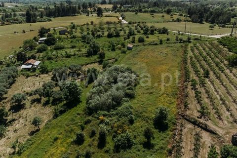 Helårsgrund i Fundao, Castelo Branco, Fundao - € 42.500 | Ref: 255240012 - foto 3