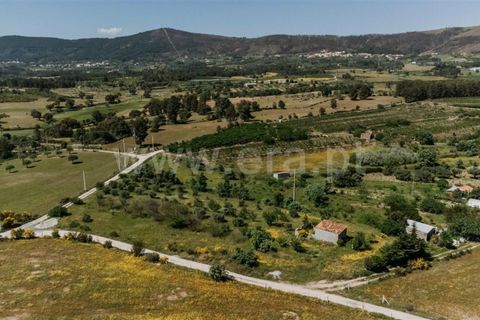 Helårsgrund i Fundao, Castelo Branco, Fundao - € 42.500 | Ref: 255240012 - foto 4