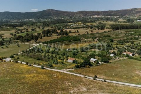 Helårsgrund i Fundao, Castelo Branco, Fundao - € 42.500 | Ref: 255240012 - foto 5