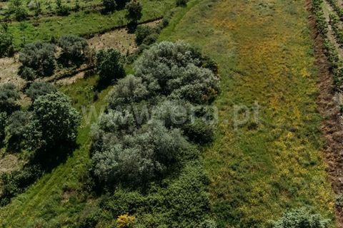 Helårsgrund i Fundao, Castelo Branco, Fundao - € 42.500 | Ref: 255240012 - foto 6