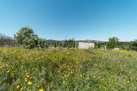 Helårsgrund i Fundao, Castelo Branco, Fundao - € 42.500 | Ref: 255240012 - foto 7