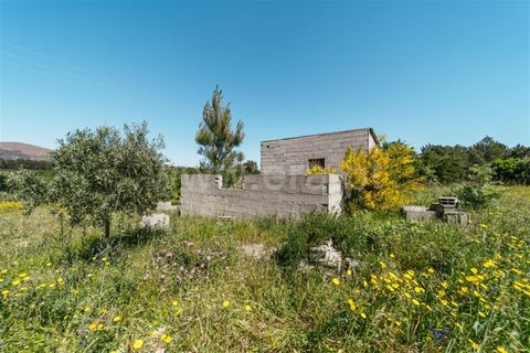Helårsgrund i Fundao, Castelo Branco, Fundao - € 42.500 | Ref: 255240012 - foto 9