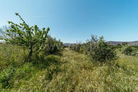 Helårsgrund i Fundao, Castelo Branco, Fundao - € 42.500 | Ref: 255240012 - foto 10