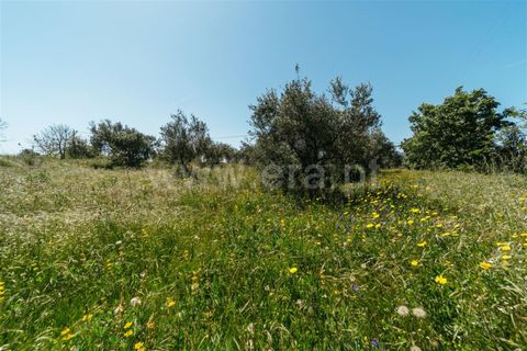 Helårsgrund i Fundao, Castelo Branco, Fundao - € 42.500 | Ref: 255240012 - foto 11