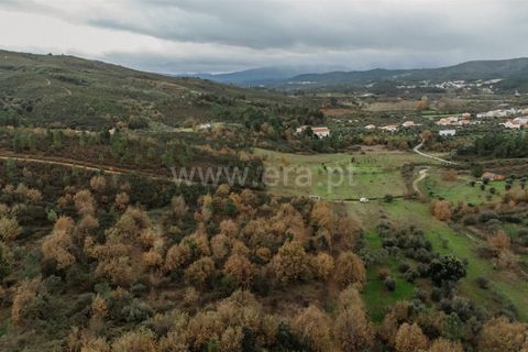 Helårsgrund i Fundao, Castelo Branco, Fundao - € 6.500 | Ref: 255240001 - foto 4