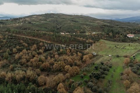 Helårsgrund i Fundao, Castelo Branco, Fundao - € 6.500 | Ref: 255240001 - foto 5