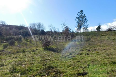 Helårsgrund i Fundao, Castelo Branco, Fundao - € 15.000 | Ref: 255240003 - foto 2