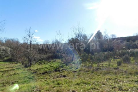 Helårsgrund i Fundao, Castelo Branco, Fundao - € 15.000 | Ref: 255240003 - foto 3