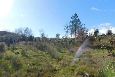 Helårsgrund i Fundao, Castelo Branco, Fundao - € 15.000 | Ref: 255240003 - foto 4
