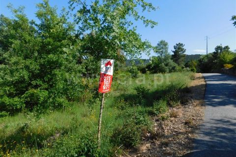 Tomt i Fundao, Castelo Branco, Fundao - € 17 500 | Ref: 255180121 - foto 2
