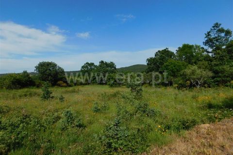 Tomt i Fundao, Castelo Branco, Fundao - € 17 500 | Ref: 255180121 - foto 3
