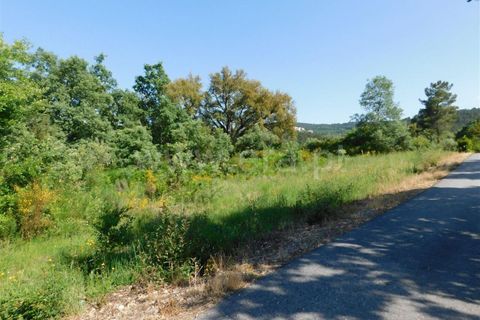 Tomt i Fundao, Castelo Branco, Fundao - € 17 500 | Ref: 255180121 - foto 5