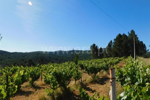 Tomt i Fundao, Castelo Branco, Fundao - € 50 000 | Ref: 255190113 - foto 2