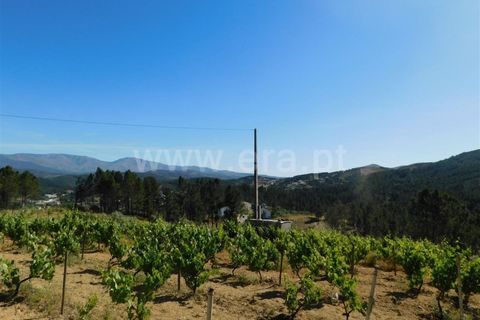 Tomt i Fundao, Castelo Branco, Fundao - € 50 000 | Ref: 255190113 - foto 3