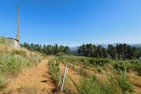 Tomt i Fundao, Castelo Branco, Fundao - € 50 000 | Ref: 255190113 - foto 4