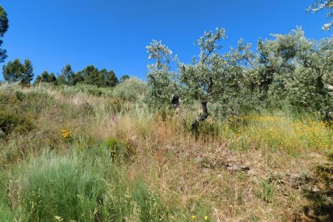 Tomt i Fundao, Castelo Branco, Fundao - € 50 000 | Ref: 255190113 - foto 5