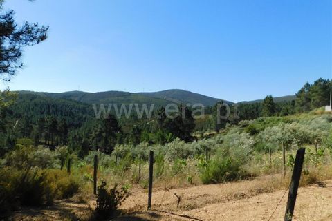 Tomt i Fundao, Castelo Branco, Fundao - € 50 000 | Ref: 255190113 - foto 10