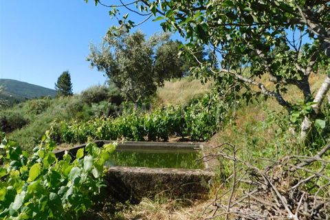 Tomt i Fundao, Castelo Branco, Fundao - € 50 000 | Ref: 255190113 - foto 11