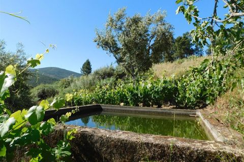 Tomt i Fundao, Castelo Branco, Fundao - € 50 000 | Ref: 255190113 - foto 12