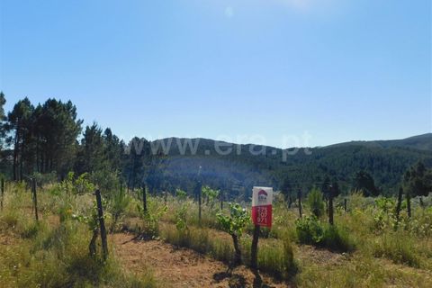 Tomt i Fundao, Castelo Branco, Fundao - € 50 000 | Ref: 255190113 - foto 13