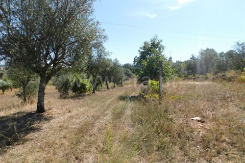 Helårsgrund i Fundao, Castelo Branco, Fundao - € 22.000 | Ref: 255190232 - foto 2