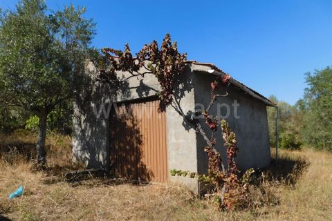 Helårsgrund i Fundao, Castelo Branco, Fundao - € 22.000 | Ref: 255190232 - foto 4